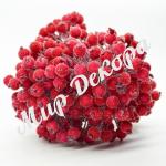 ЯГОДА В САХАРЕ .КРАСНАЯ