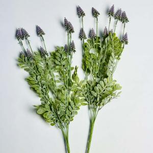 Кущ мускарі. 50 см. Бузковий.