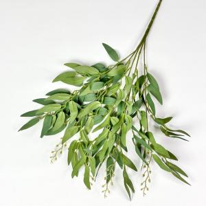 Кущ рускуса 50 см. 5 гілочок. Оливковий.