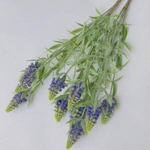 Кущ мускарі. 40 см. Бузковий.