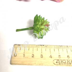 сукулент, купити сукулент, сукуленти купити, сукуленти оптом, для декору, декор, штучні квіти, декор для дому, кашпо для квітів, декор для кімнати, купити штучні квіти, прикраса для кімнати, декор в кімнату, магазин декору, штучні квіти купити, штучні квіти для декору, декорайз сайт, світ декору, світ декору інтернет магазин, mir decora, декорайз, декор опт, штучна квітка для оформлення, декор оптом