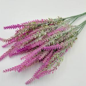 Кущ лаванди. 37 см. Фуксія.